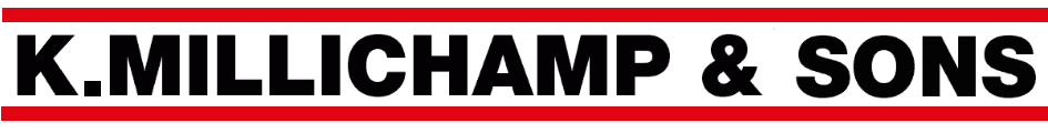 General and specialised transport services for local and multinational companies